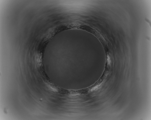 X0000097850818200803141215