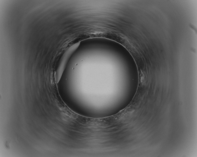 X0000097850819200803141215