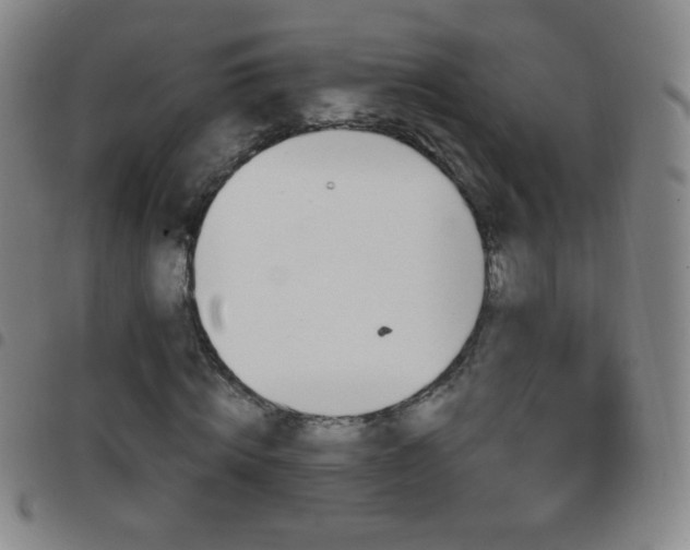 X0000097850820200803141215