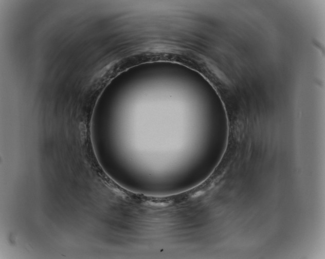 X0000097850821200803141215