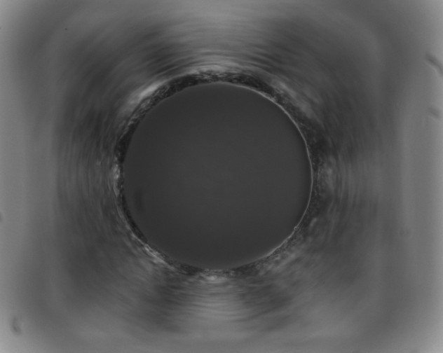 X0000097850822200803141215