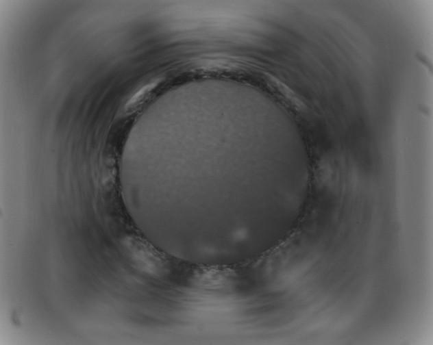 X0000097850824200803141215