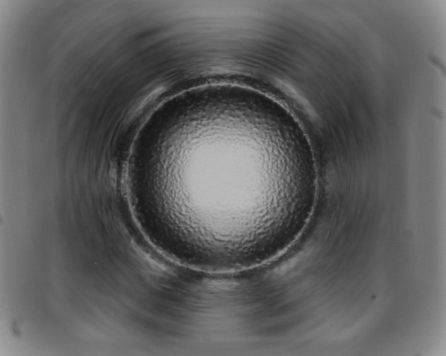X0000097850825200803141215