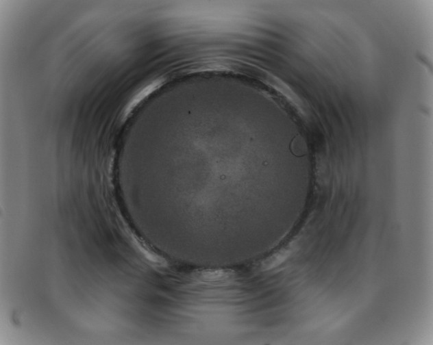 X0000097850826200803141215