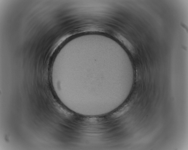X0000097850828200803141215