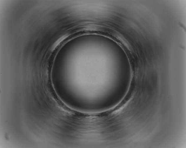 X0000097850829200803141215