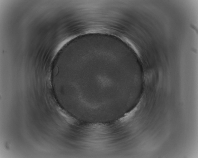X0000097850830200803141215