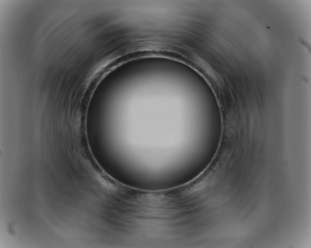 X0000097850831200803141215