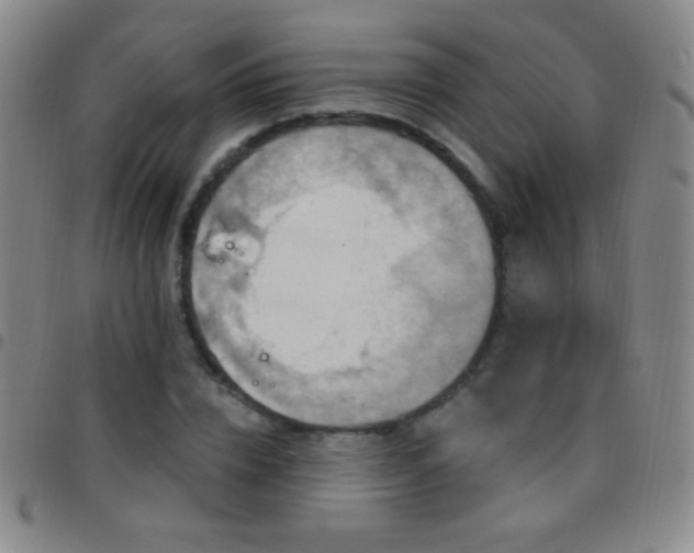X0000097850832200803141215