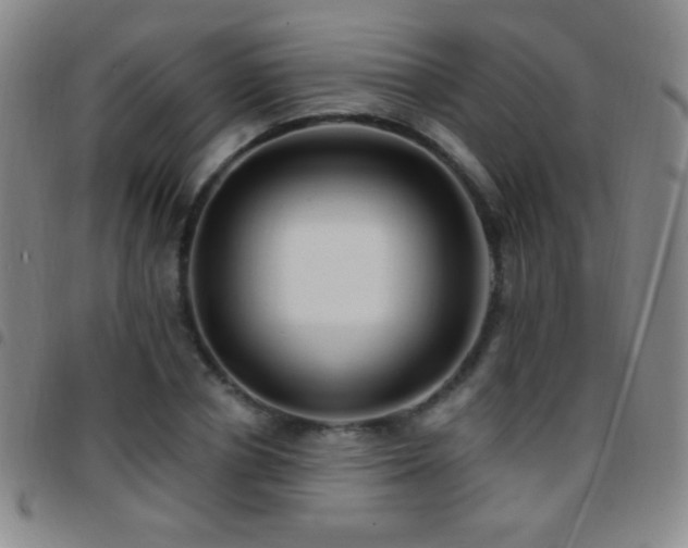 X0000097850834200803141215