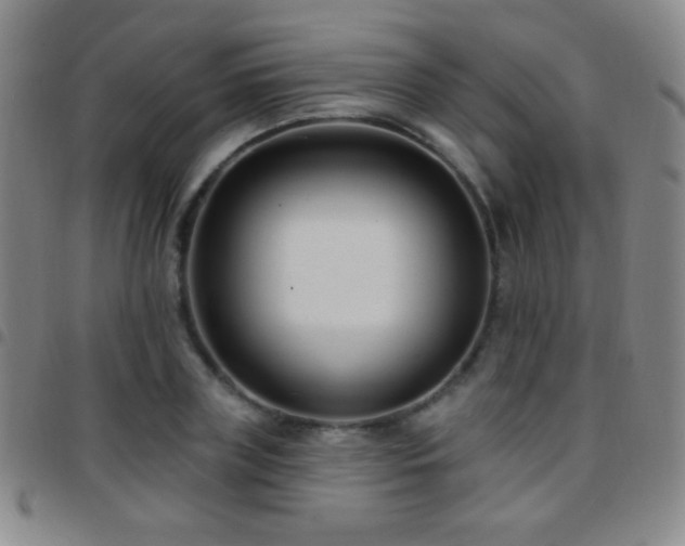 X0000097850835200803141215