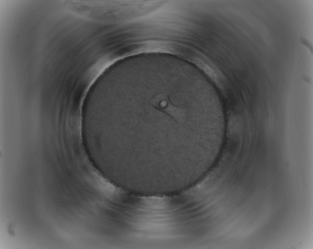 X0000097850836200803141215