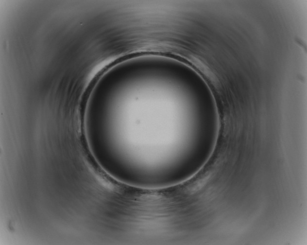 X0000097850838200803141215