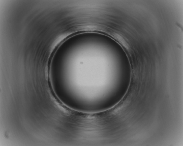 X0000097850839200803141215