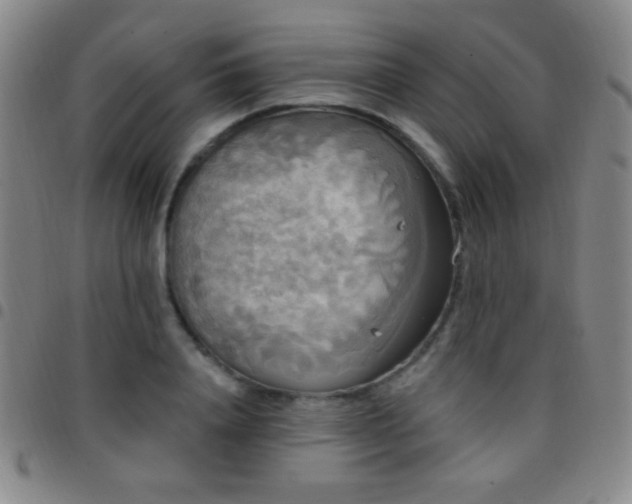 X0000097850840200803141215