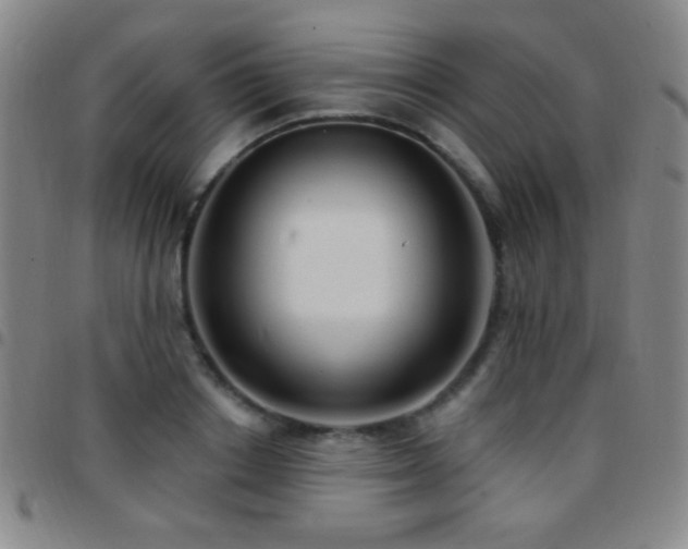 X0000097850842200803141215