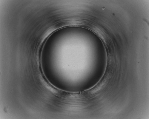 X0000097850843200803141215