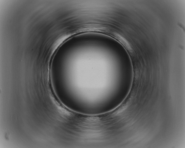 X0000097850844200803141215