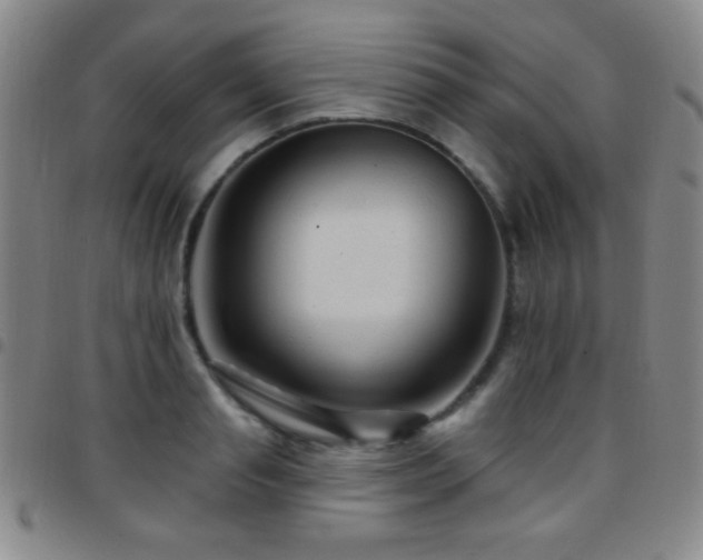 X0000097850845200803141215