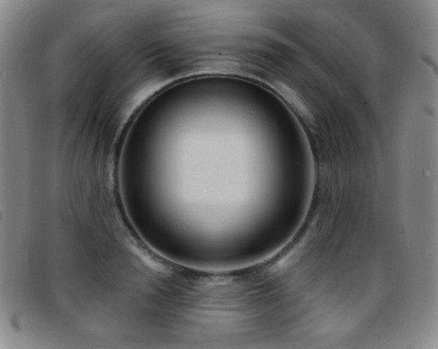 X0000097850846200803141215