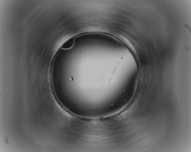 X0000097850847200803141215