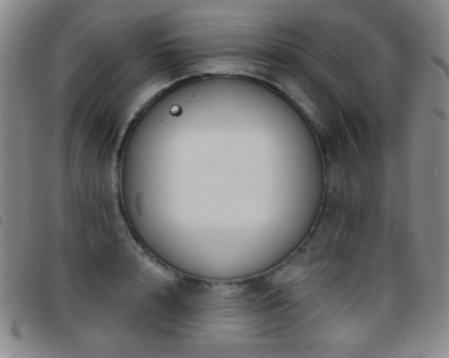 X0000097850848200803141215