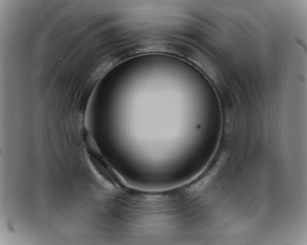 X0000097850849200803141215
