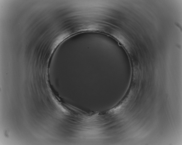 X0000097850850200803141215