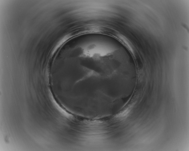 X0000097850851200803141215