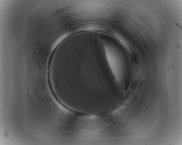 X0000097850853200803141215