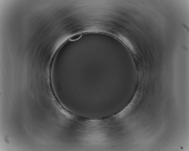X0000097850854200803141215