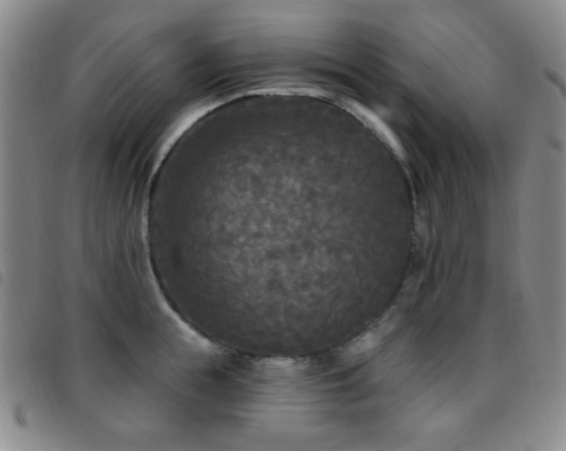 X0000097850855200803141215
