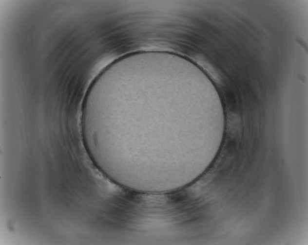 X0000097850856200803141215