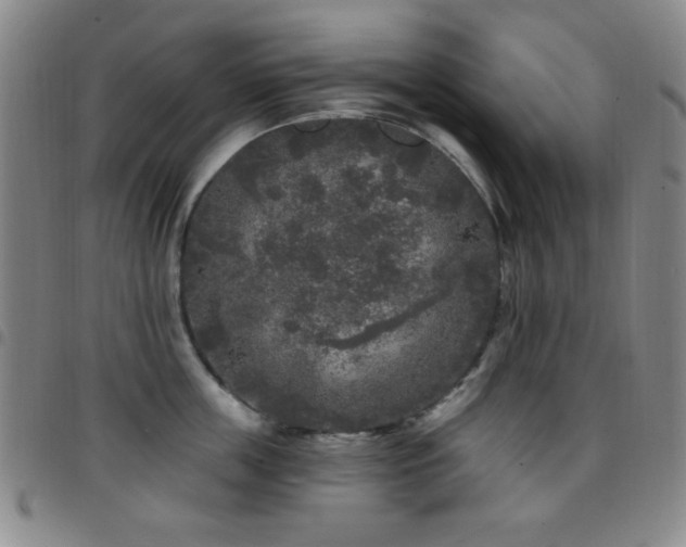 X0000097850859200803141216