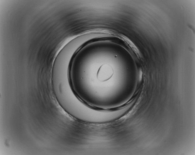 X0000097850860200803141216