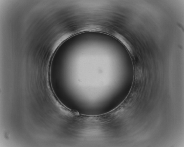 X0000097850861200803141216