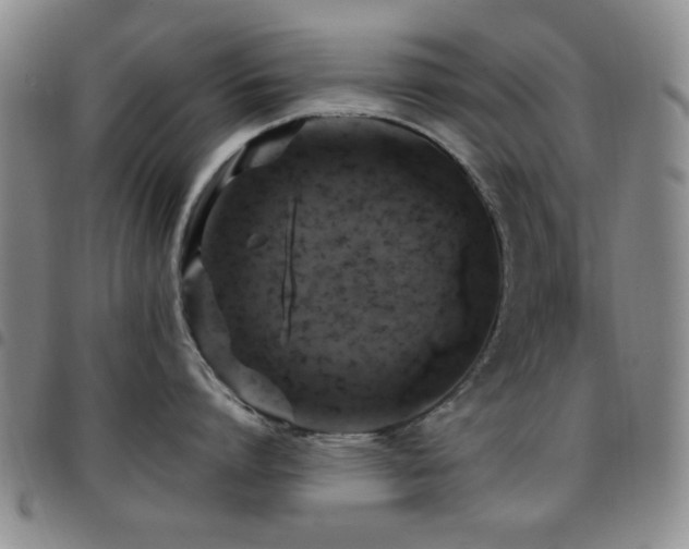 X0000097850864200803141216