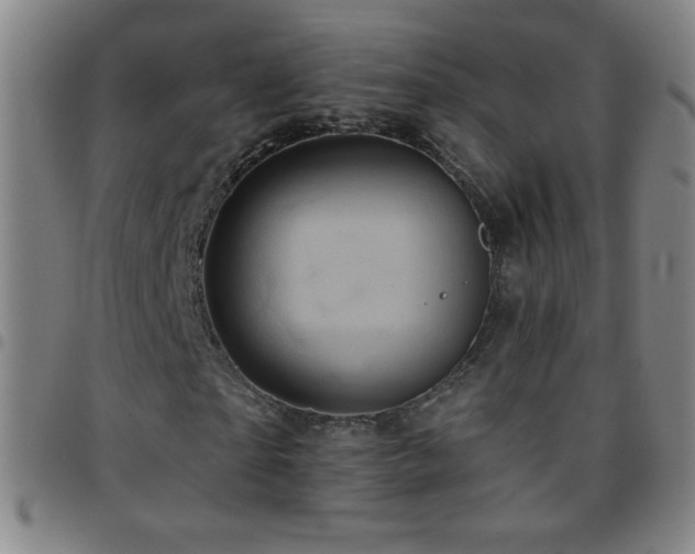X0000097850865200803141215