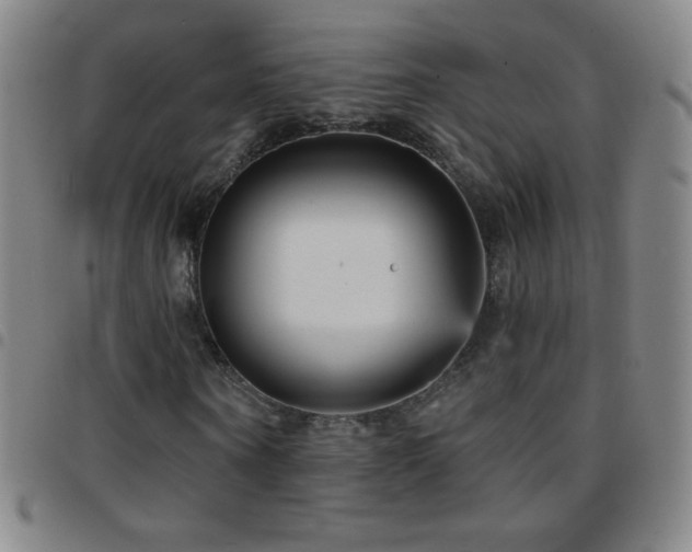 X0000097850866200803141215