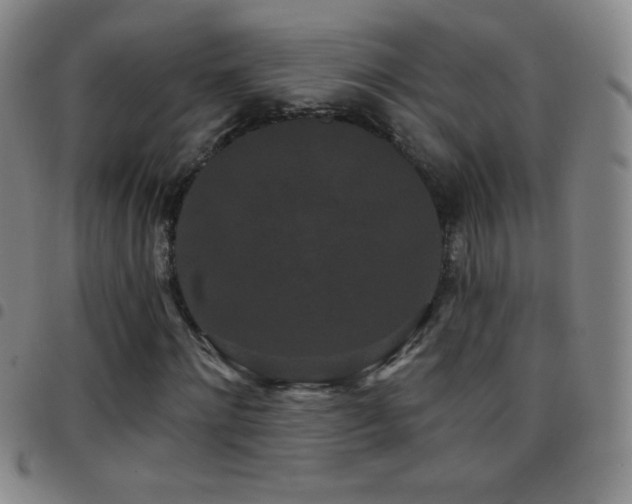 X0000097850868200803141215