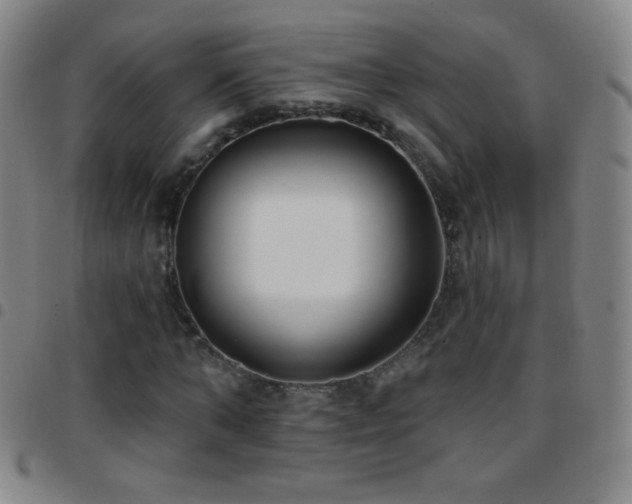 X0000097850870200803141215