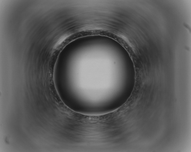X0000097850871200803141215