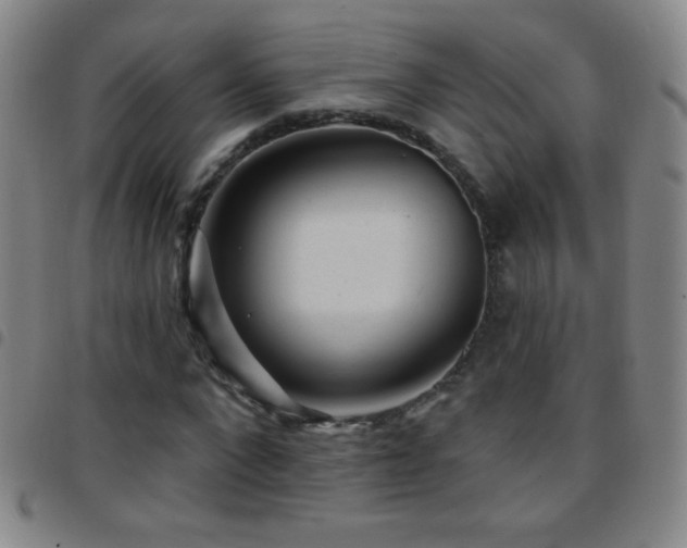 X0000097850872200803141215