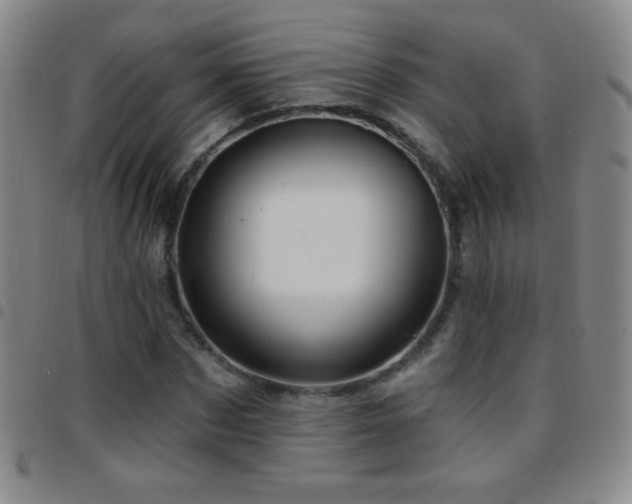 X0000097850873200803141215
