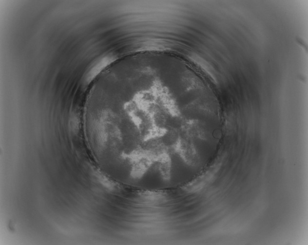 X0000097850874200803141215