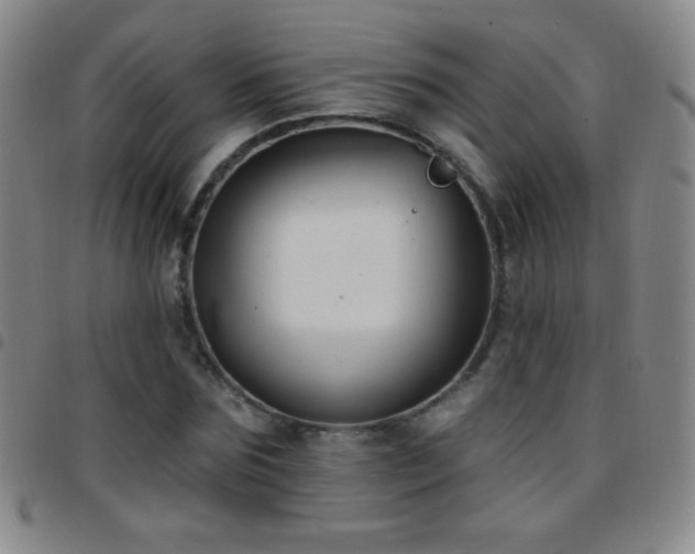 X0000097850875200803141215