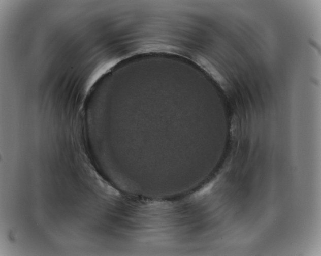 X0000097850877200803141215