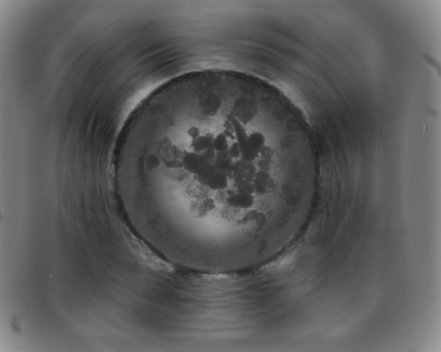 X0000097850879200803141215