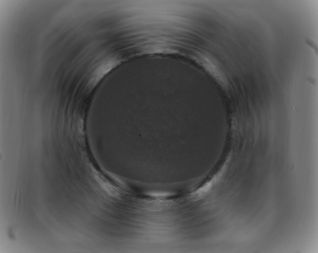 X0000097850881200803141215