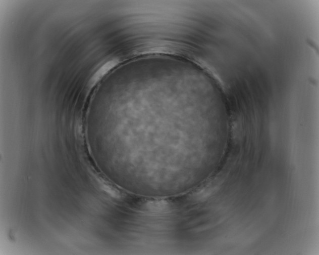X0000097850882200803141215